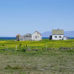 Immer wieder stößt man in Island auf verlassene Bauernhöfe.