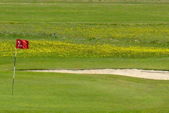Einer der vielen Golfplätze in Island, im hellen Sommer kann man praktisch rund um die Uhr Golf spielen