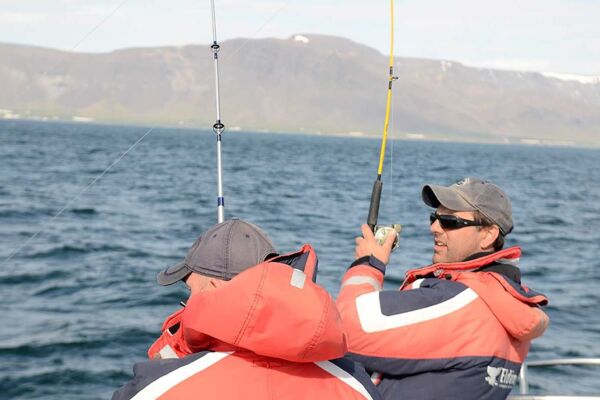 Wer hat als erstes einen Fisch an der Angel beim Hochseeangeln ab Reykjavik (c) Elding
