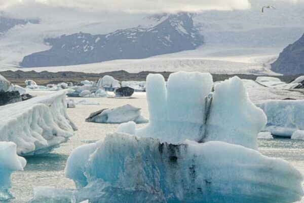 Zahlreiche Eisberge treiben in der Gletscherlagune Jökulsarlon im Südosten Islands