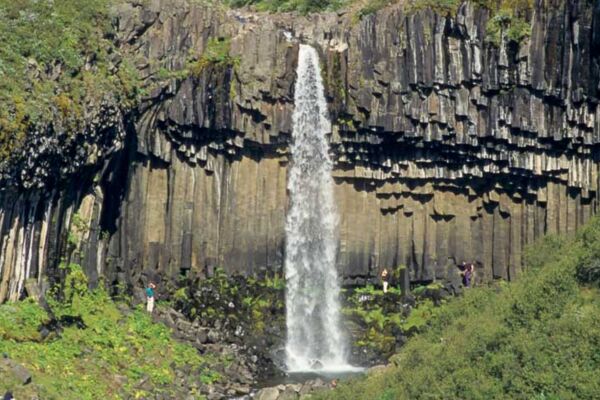 Die Basaltsäulen am Wasserfall Svartifoss sind wie Orgelpfeifen angeordnet